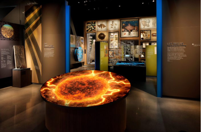 如何区分展厅的类型和功能