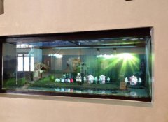 幻影成像设计制作价格多少钱？