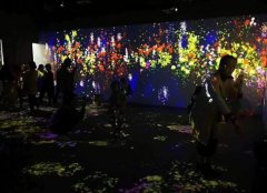 多媒体展厅里面的设备有哪些？