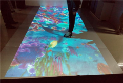 交互式地面投影一般适合用在哪里地方?