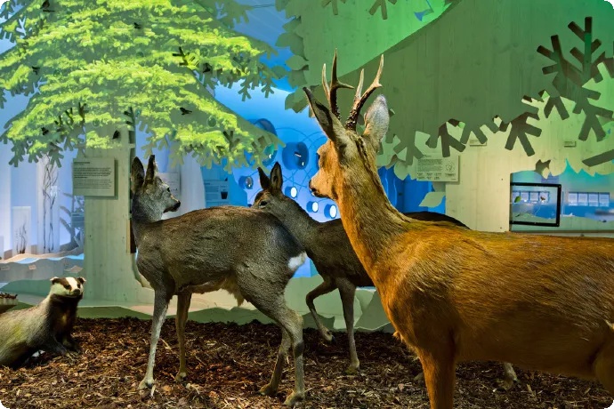 火的数字化展厅设计施工,数字化展厅方案