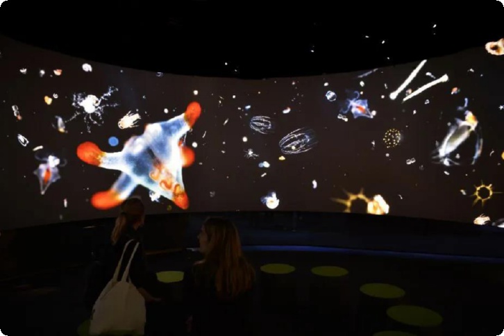 多媒体展厅展馆设计生产厂,多媒体展馆设计方案